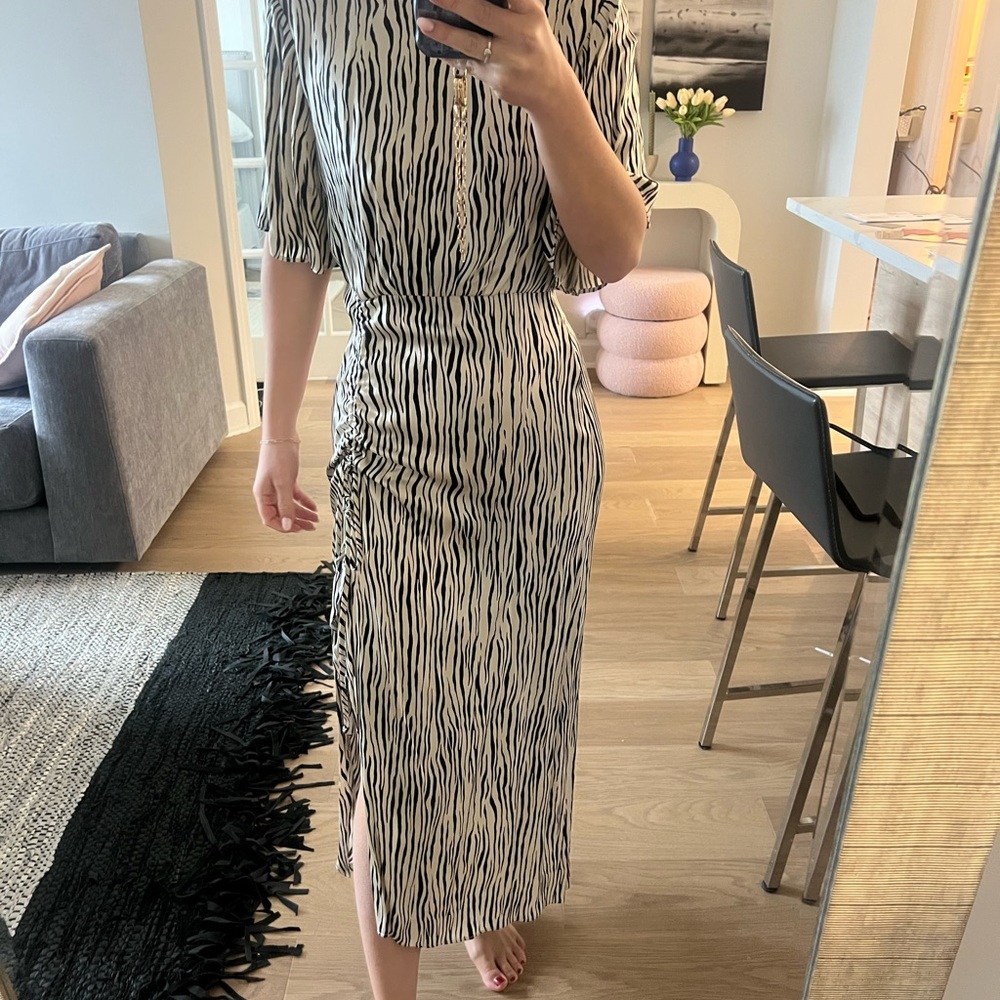Zebra Dress
